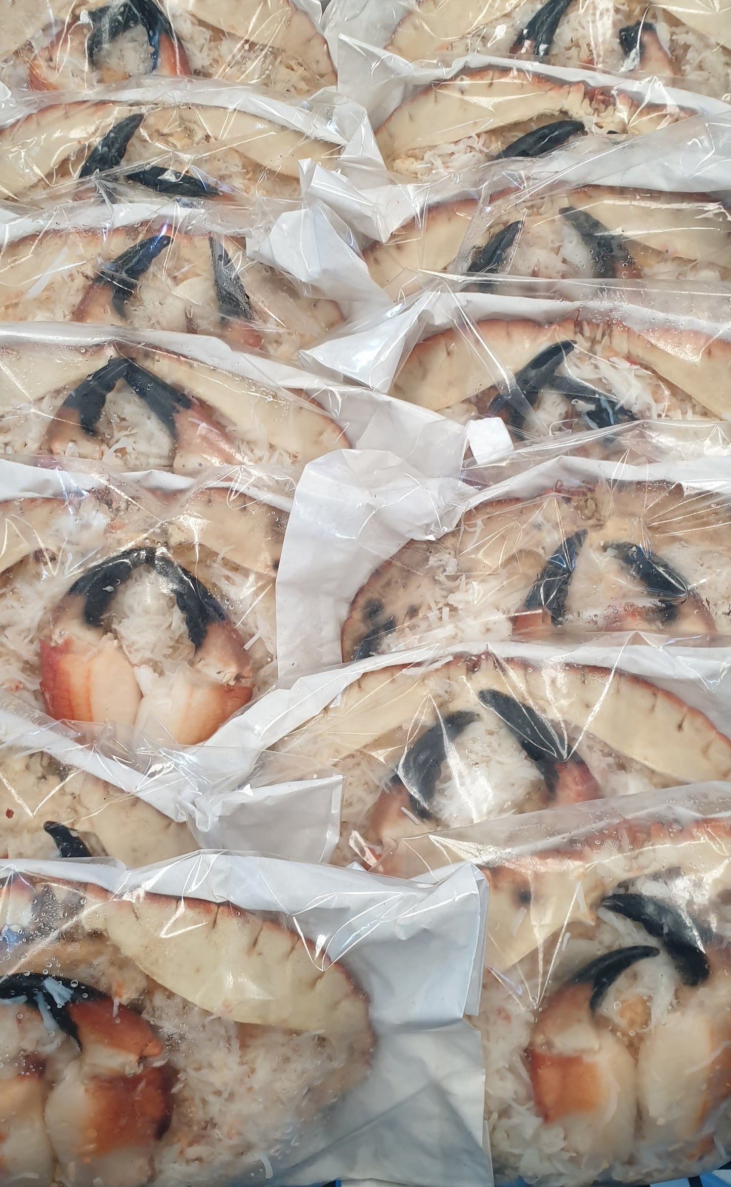 Dressed Crab
