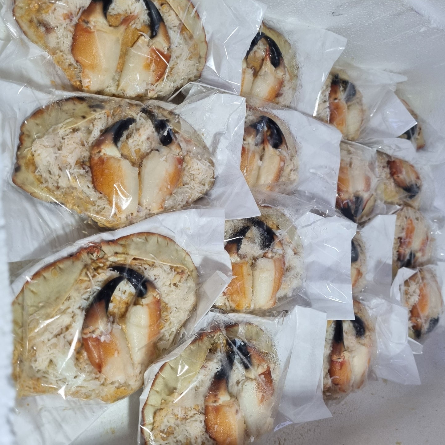 Dressed Crab