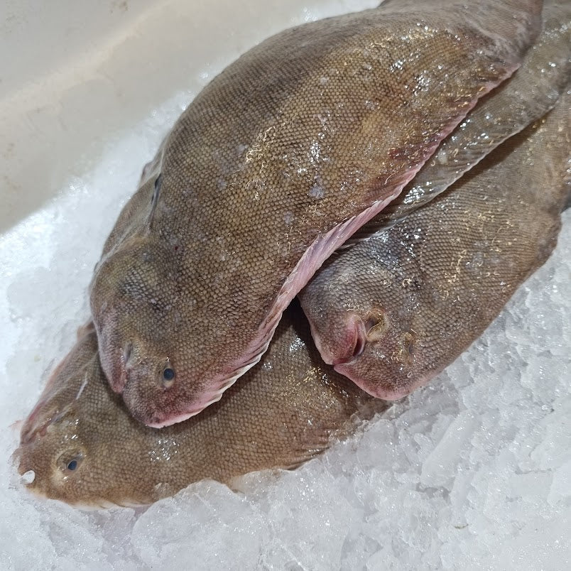 Doversole