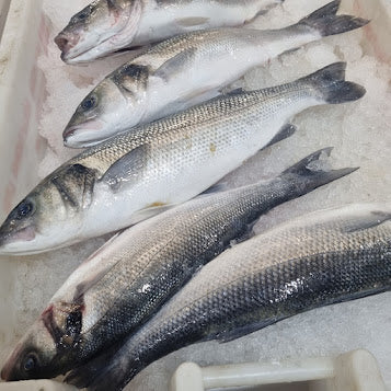 Seabass (Whole)