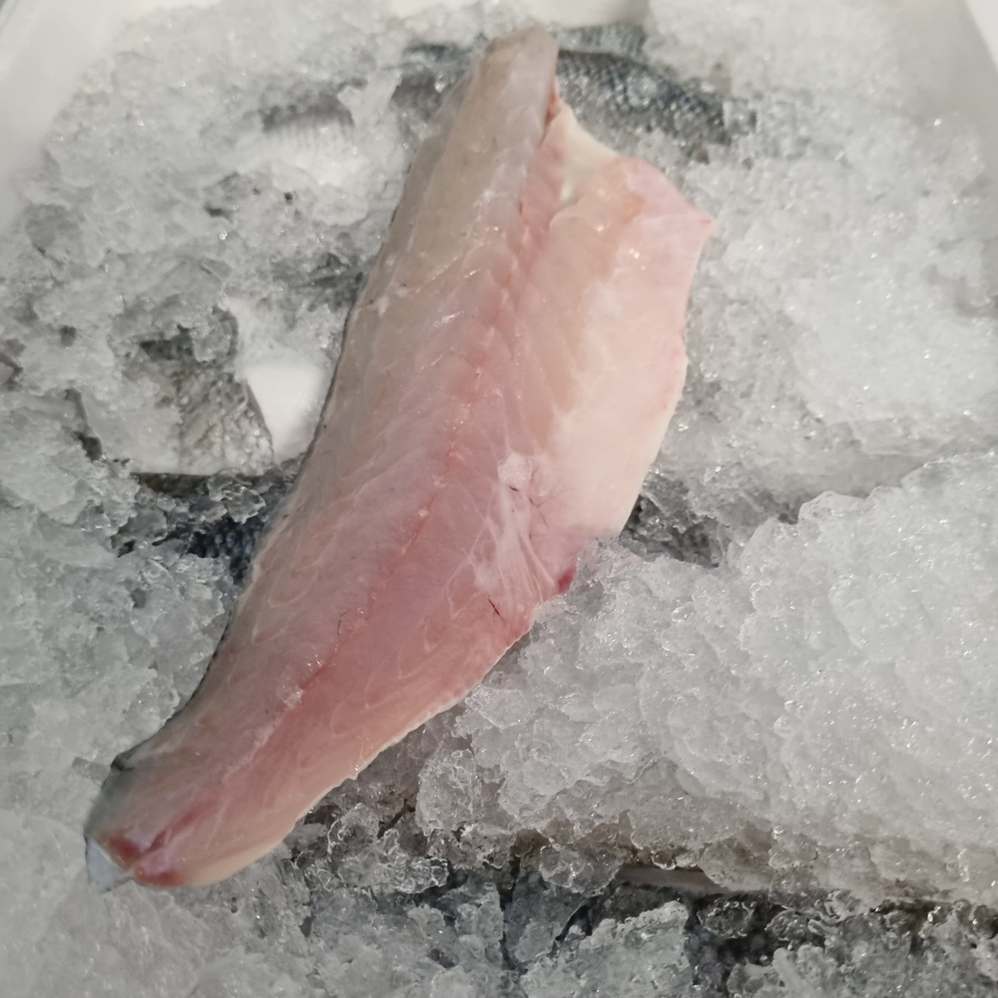Seabass Fillets