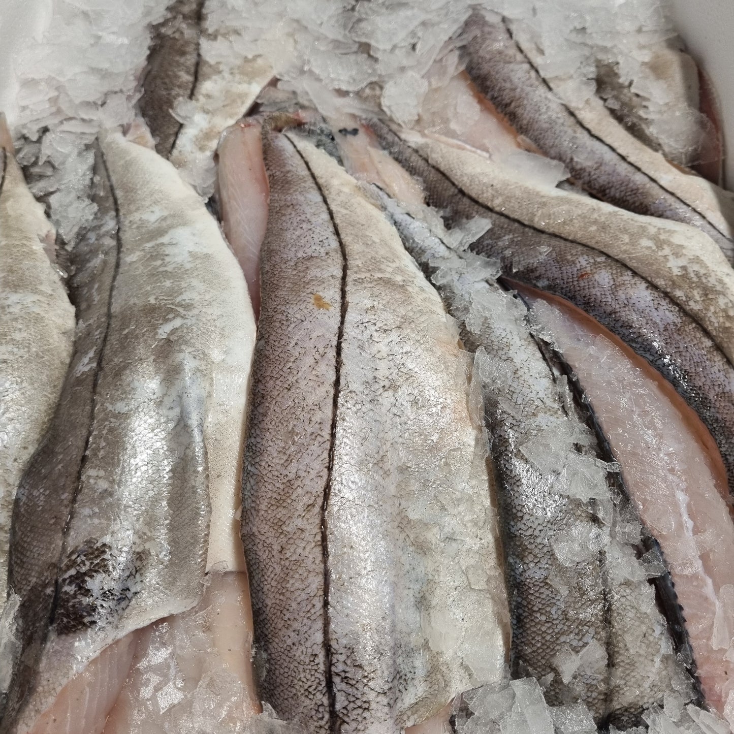 Haddock Fillet