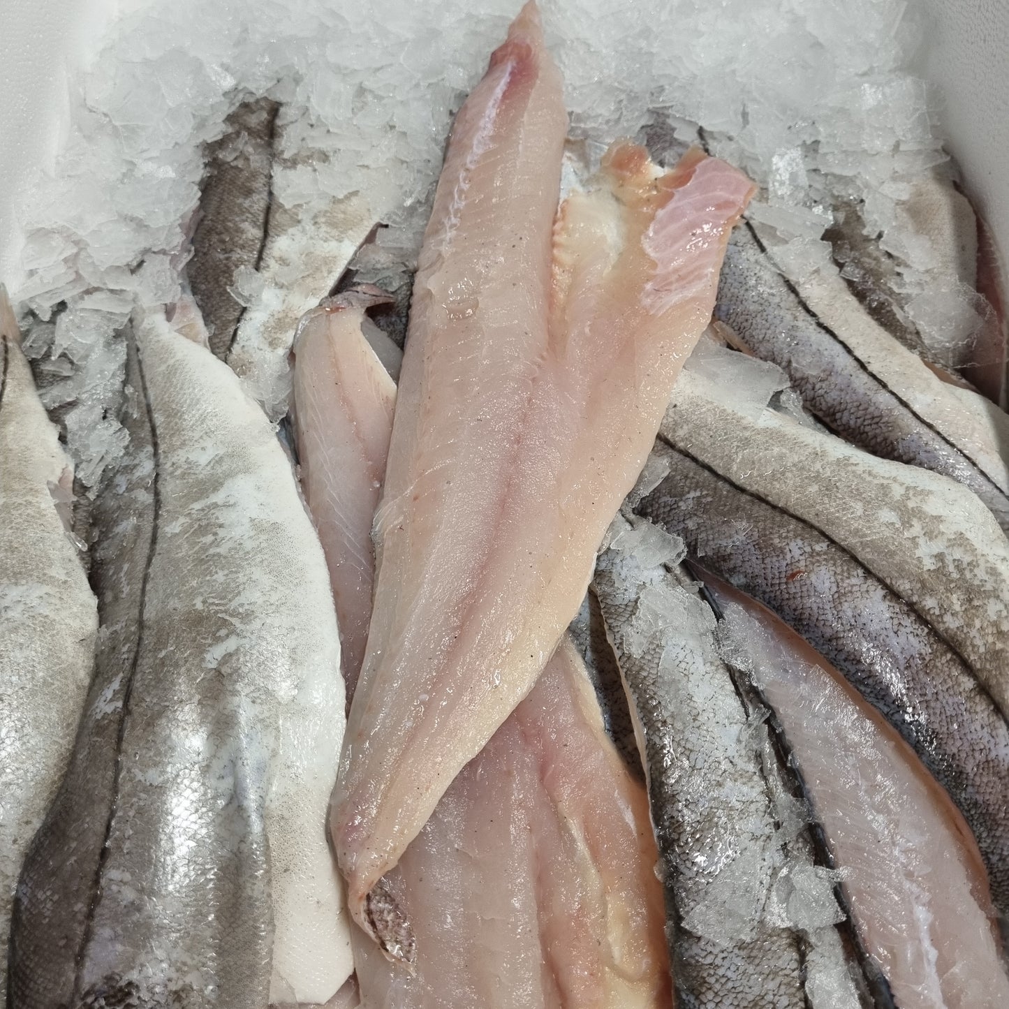 Haddock Fillet