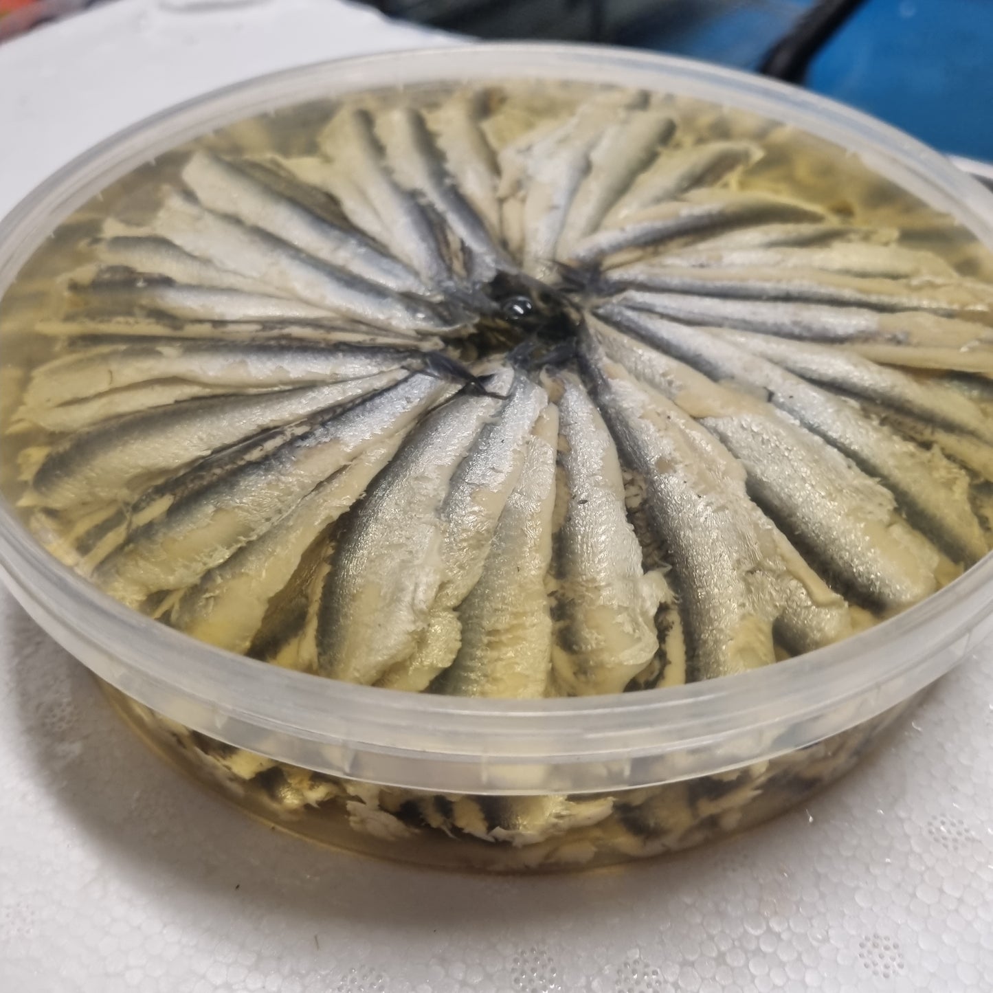 Anchovy Fillets in Sunflower Oil