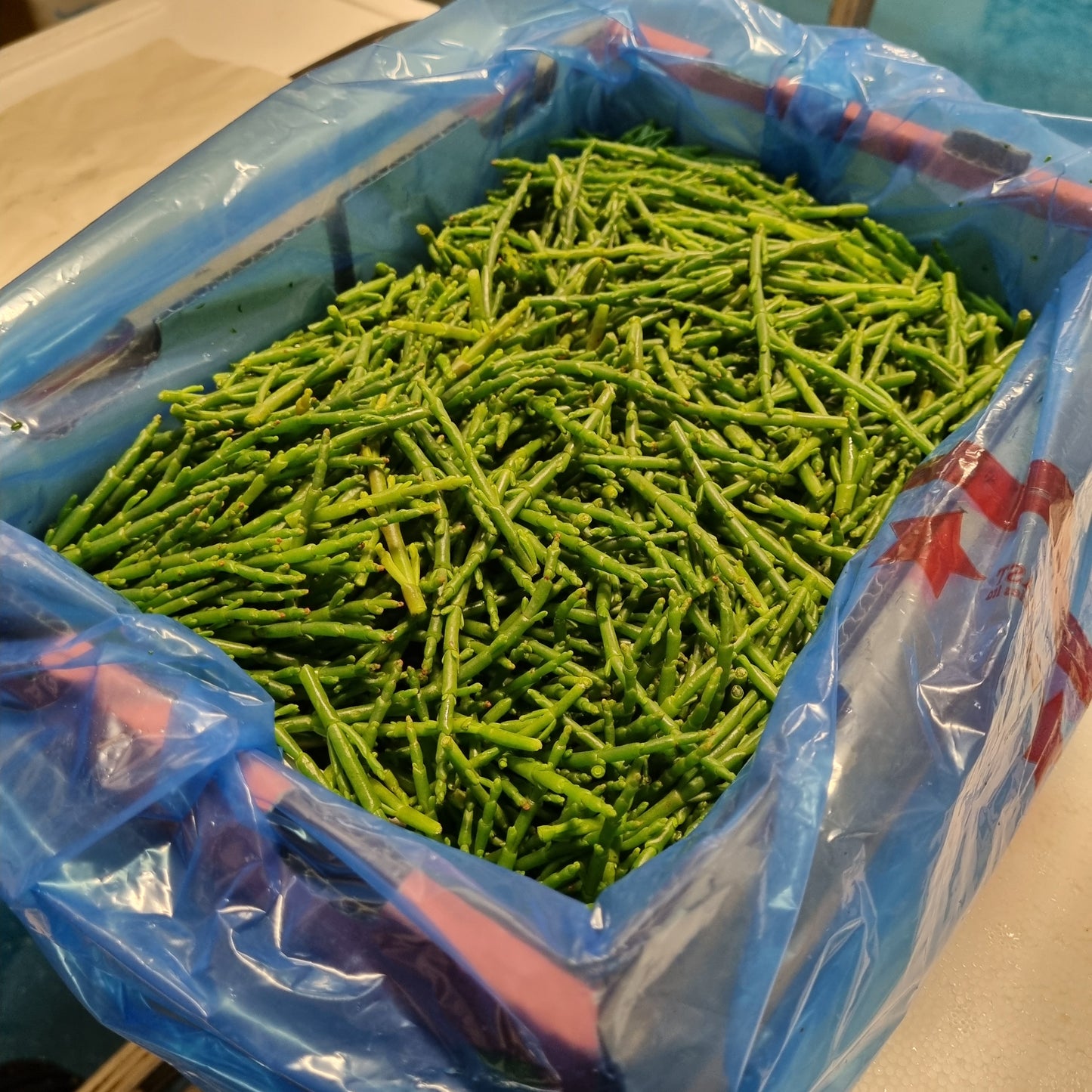 Samphire Grass
