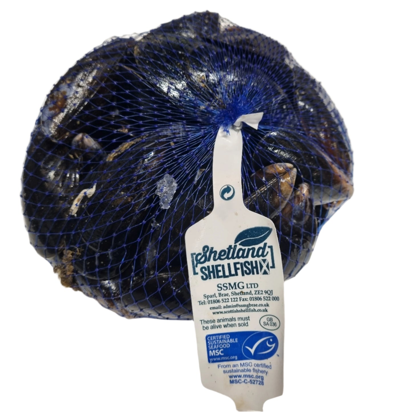 Rope Grown Shetland Mussels