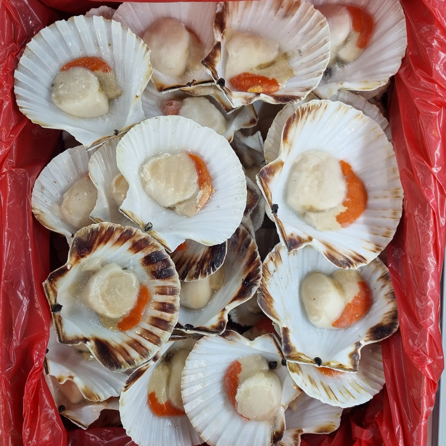 Half Shell Scallops