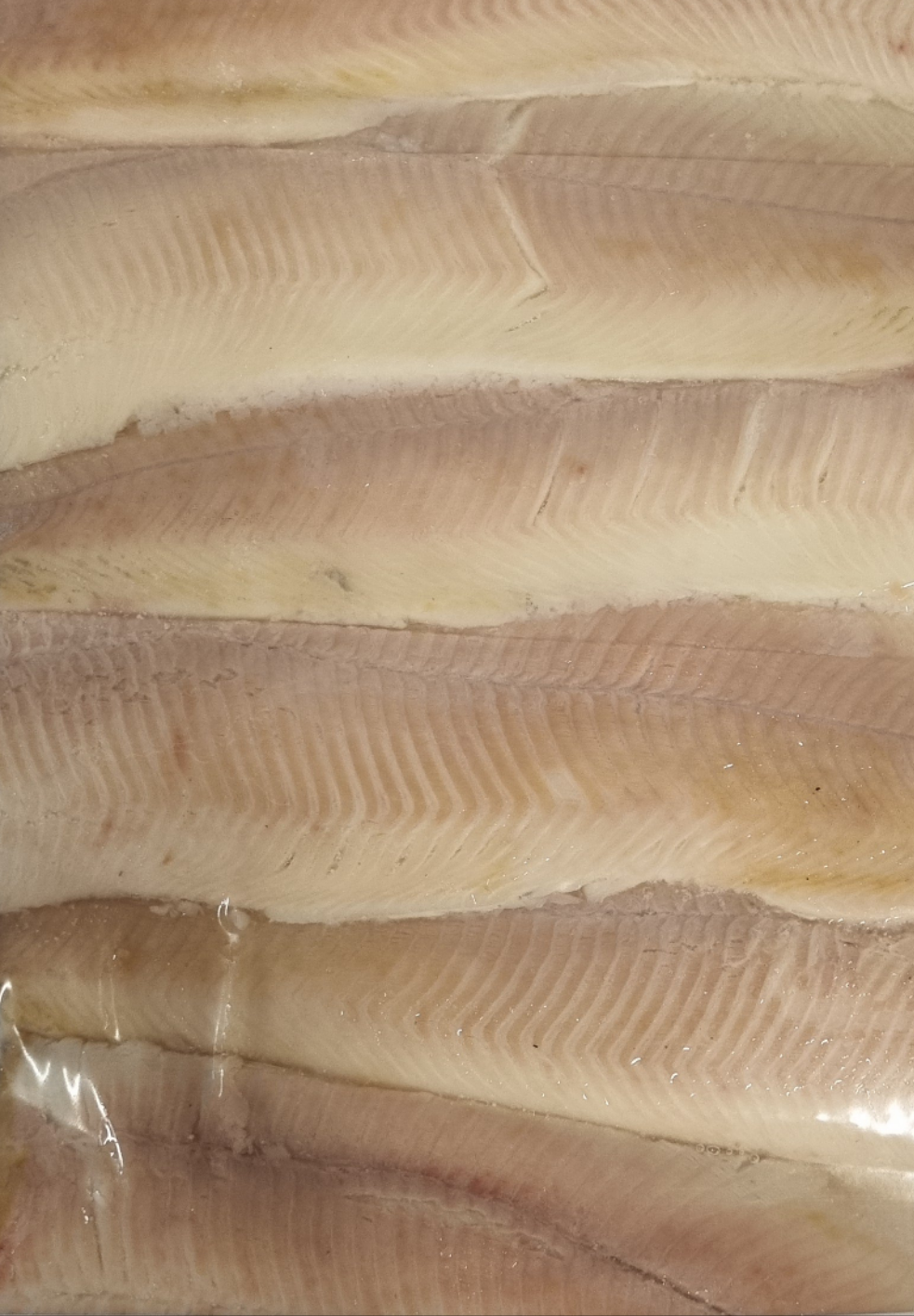 Smoked Trout Fillets