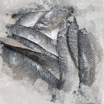 Seabass Fillets