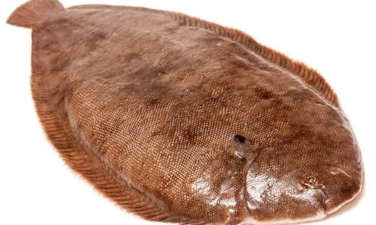 Doversole