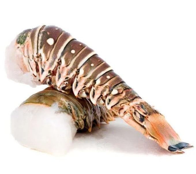 Lobster Tail 7oz