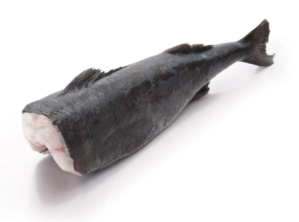 Black Cod Headless (Sablefish)