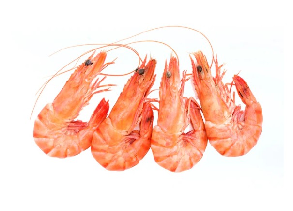 Whole Atlantic Shell on Prawns