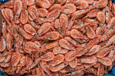 Whole Atlantic Shell on Prawns