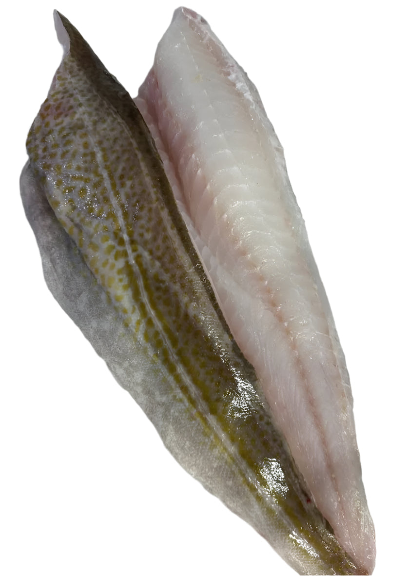 Large Cod Fillet