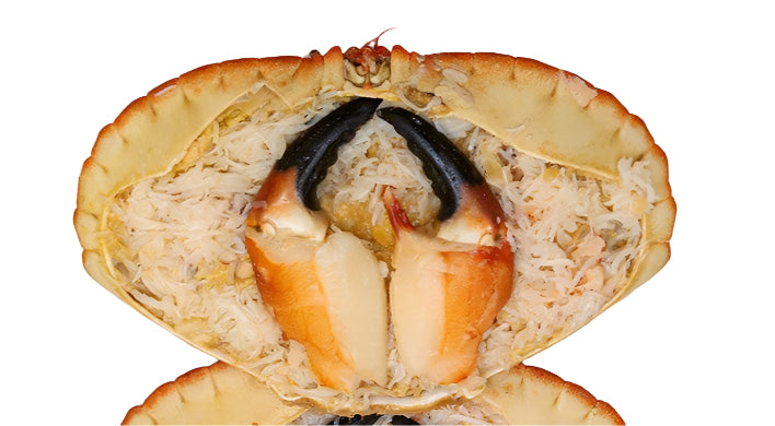 Dressed Crab