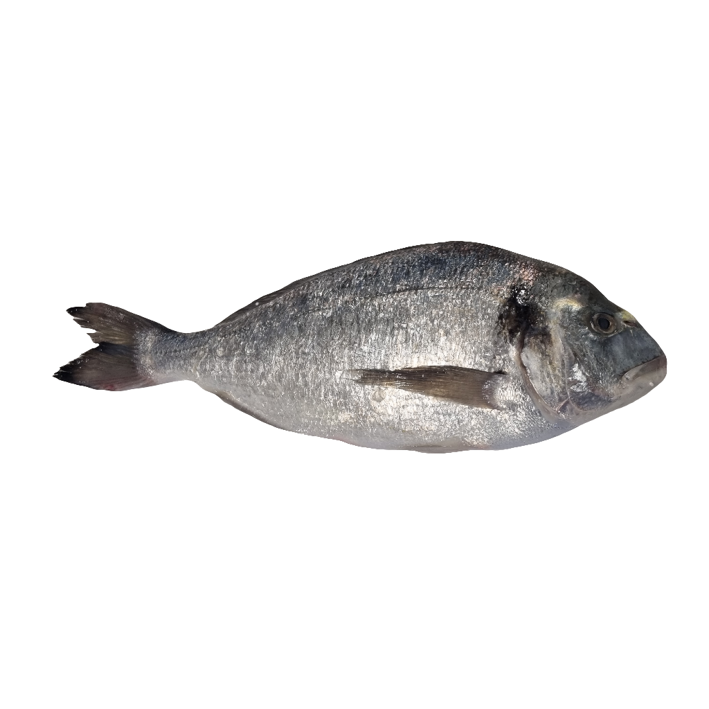 Seabream (Whole)