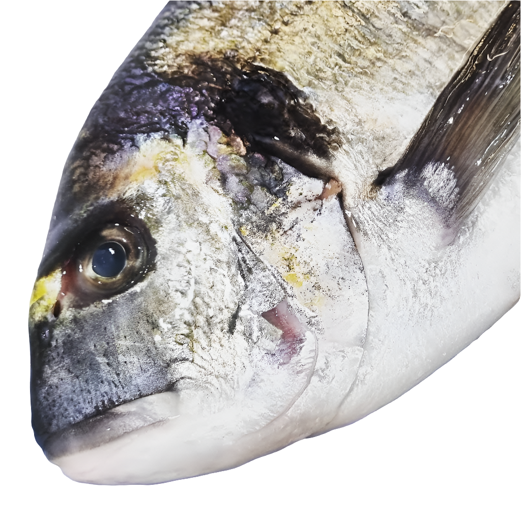 Seabream (Whole)