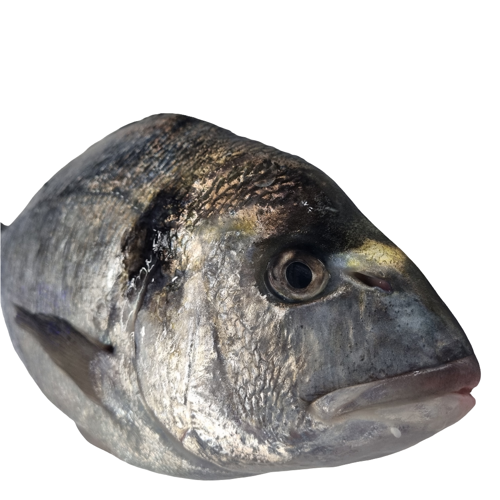 Seabream (Whole)