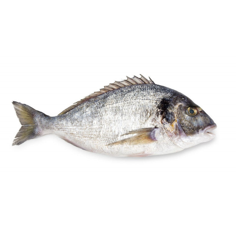 Seabream (Whole)