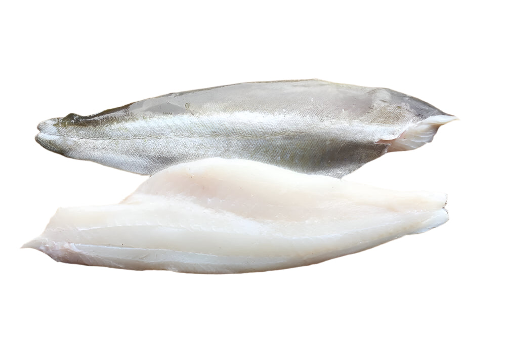Pollack Fillet