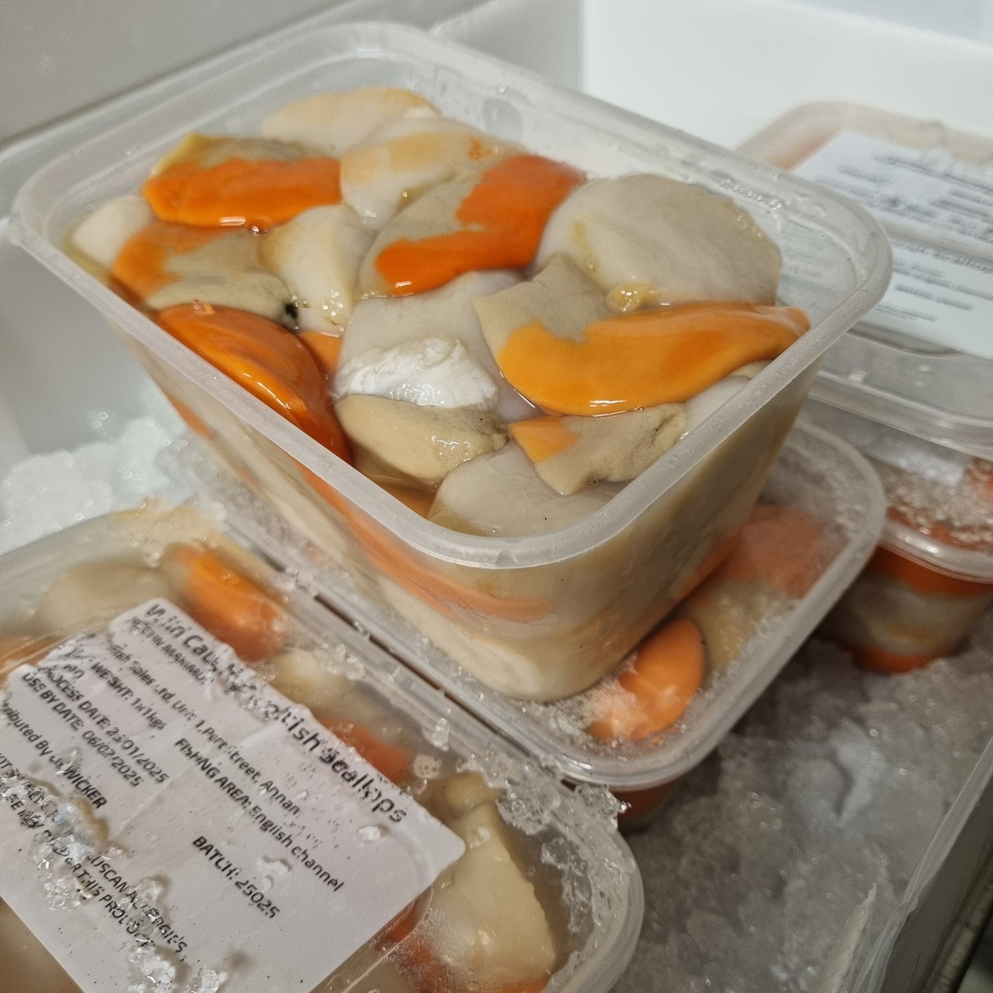 Scallop Meat - Dry Roe-on Shetland