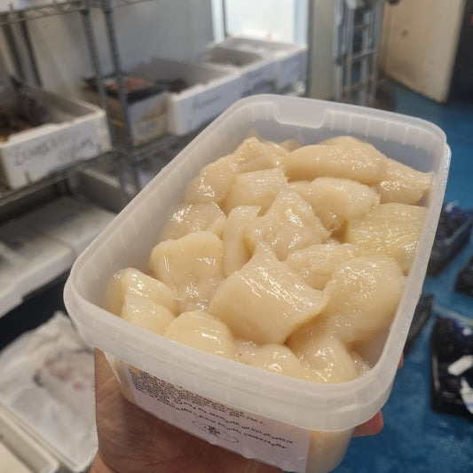Scallop Meat - Broken Pieces