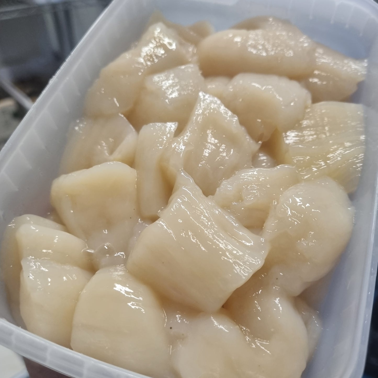 Scallop Meat - Broken Pieces