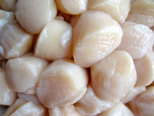 Scallop Meat - Roeless