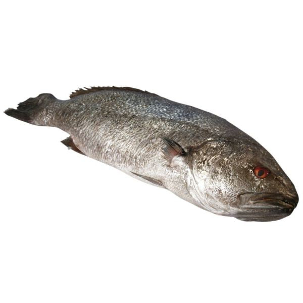 Stonebass