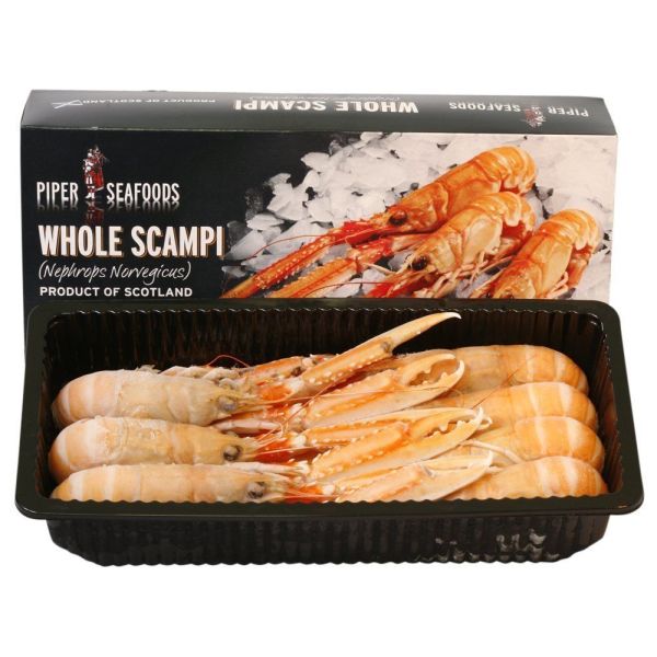 Scottish Langoustines