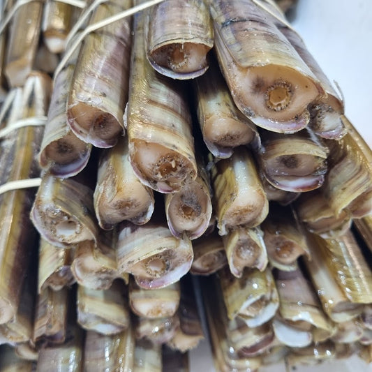 Large Razor Clams 1 kilo