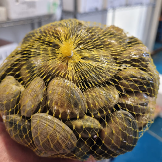 Fresh Dorset Palourdes Clams