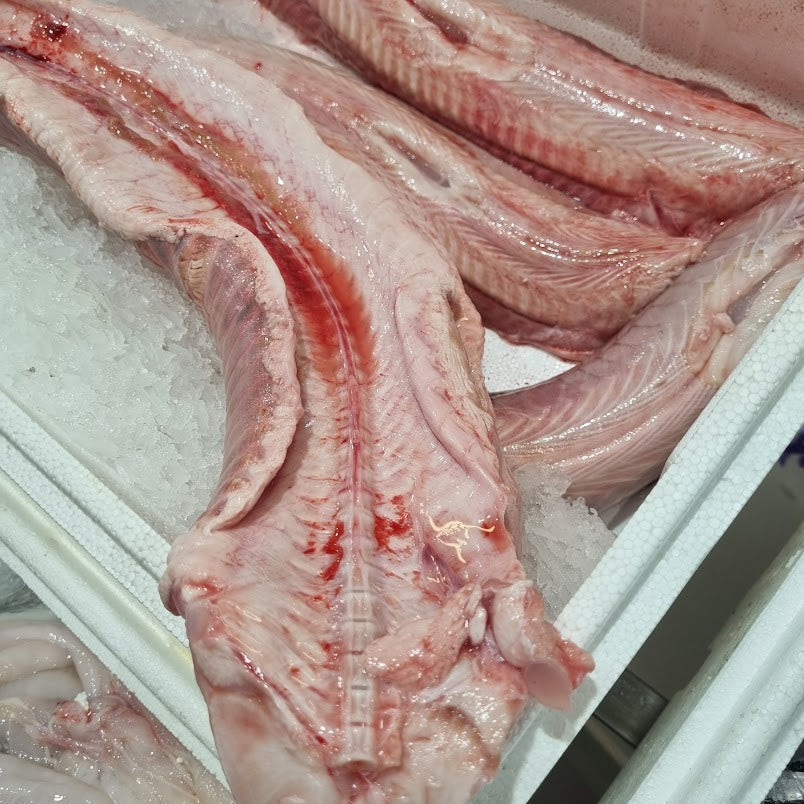 Rock Eel (Rock Salmon) x 4 Portions