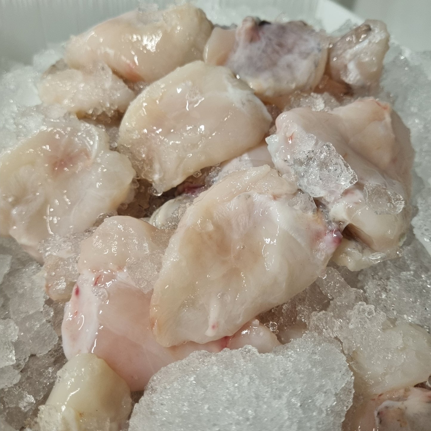 Monkfish Cheeks