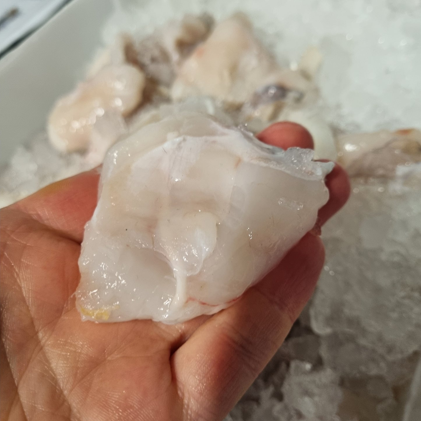 Monkfish Cheeks