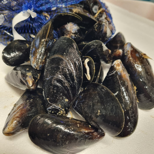 Rope Grown Shetland Mussels