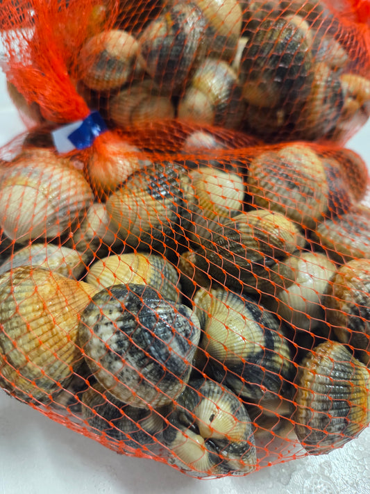 Live Cockles