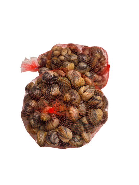Live Cockles