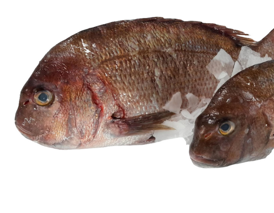 Pink Bream Greek