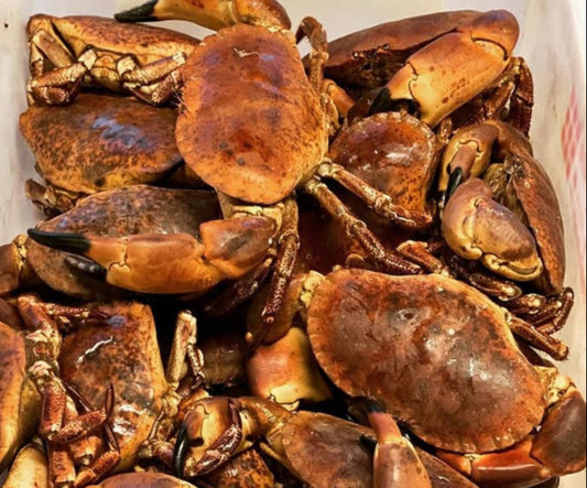Live Brown Crab 800-1 kilo